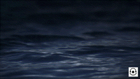 808orade-gif
